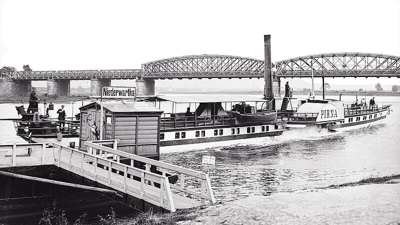 Glattdecker in Niederwartha Glattdecker in Niederwartha